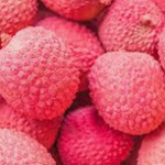 Litchi